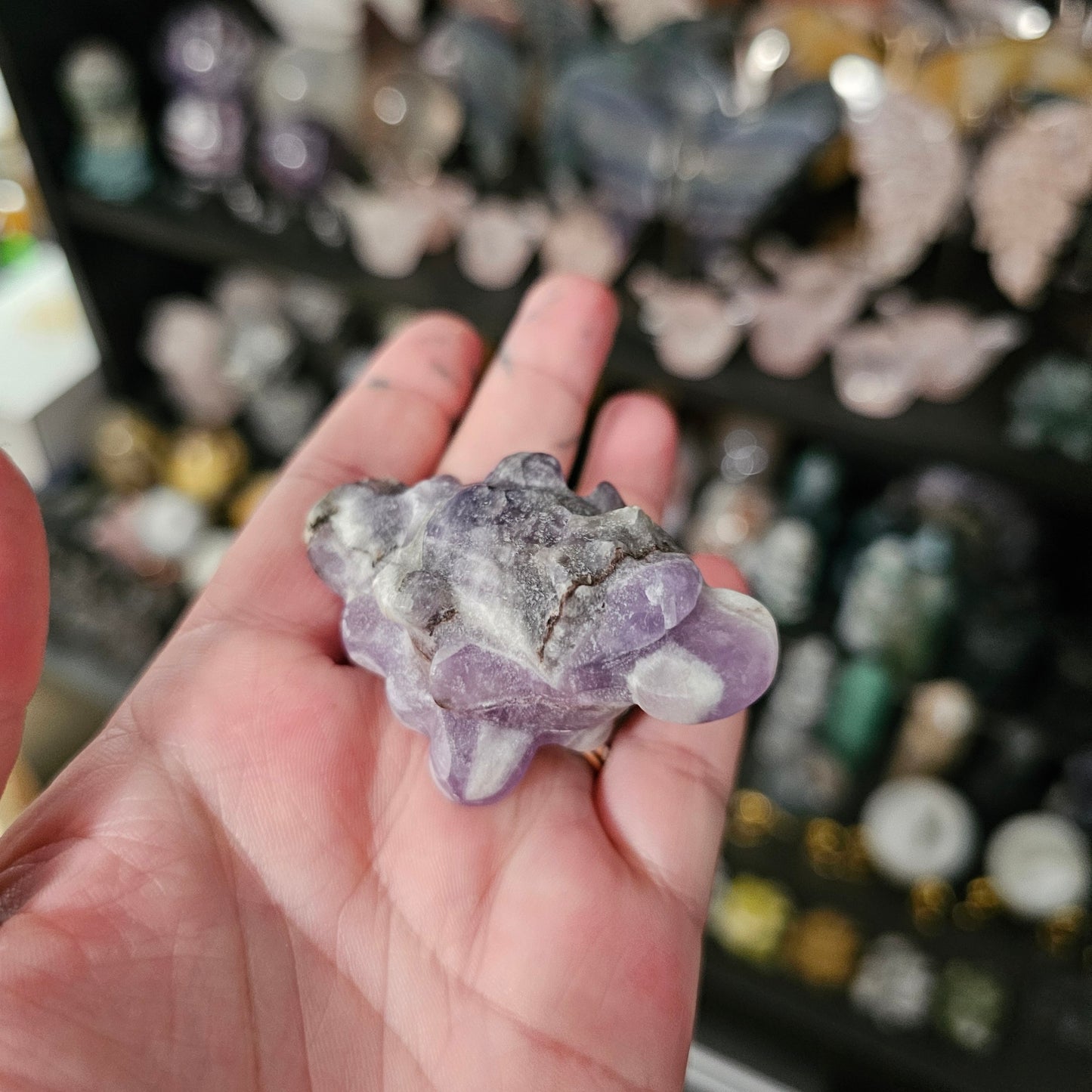 2" Small Money Frogs