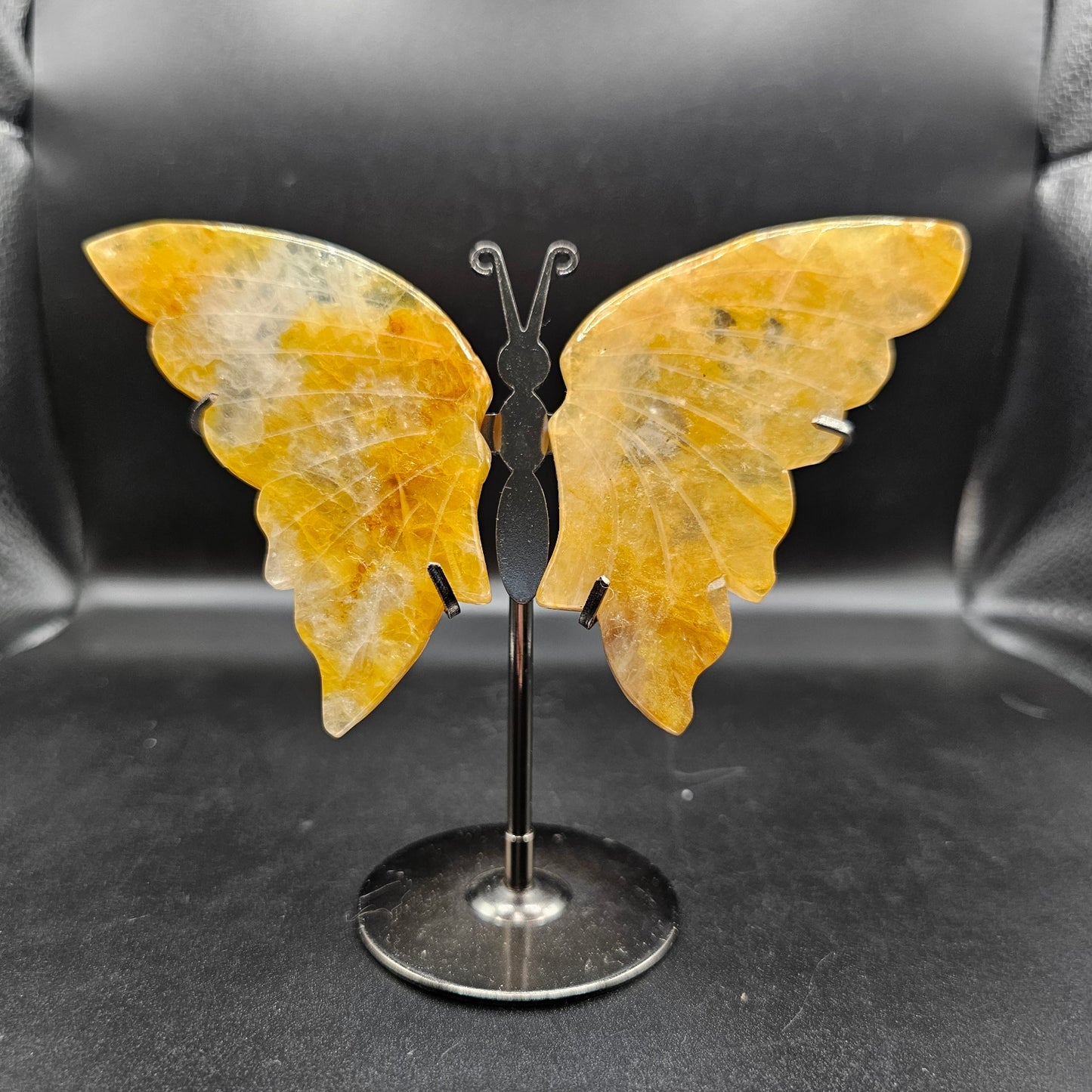 Golden Healer Butterfly 38BK