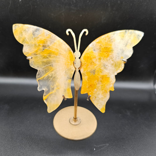 Golden Healer Butterfly 38BL