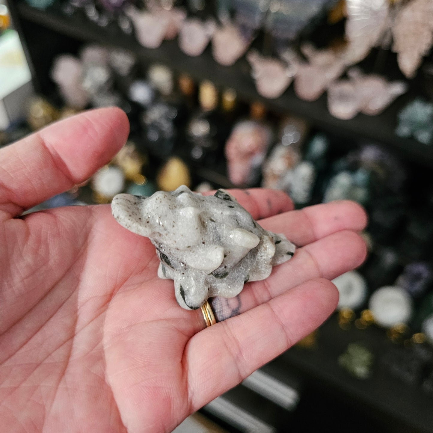 2" Small Money Frogs